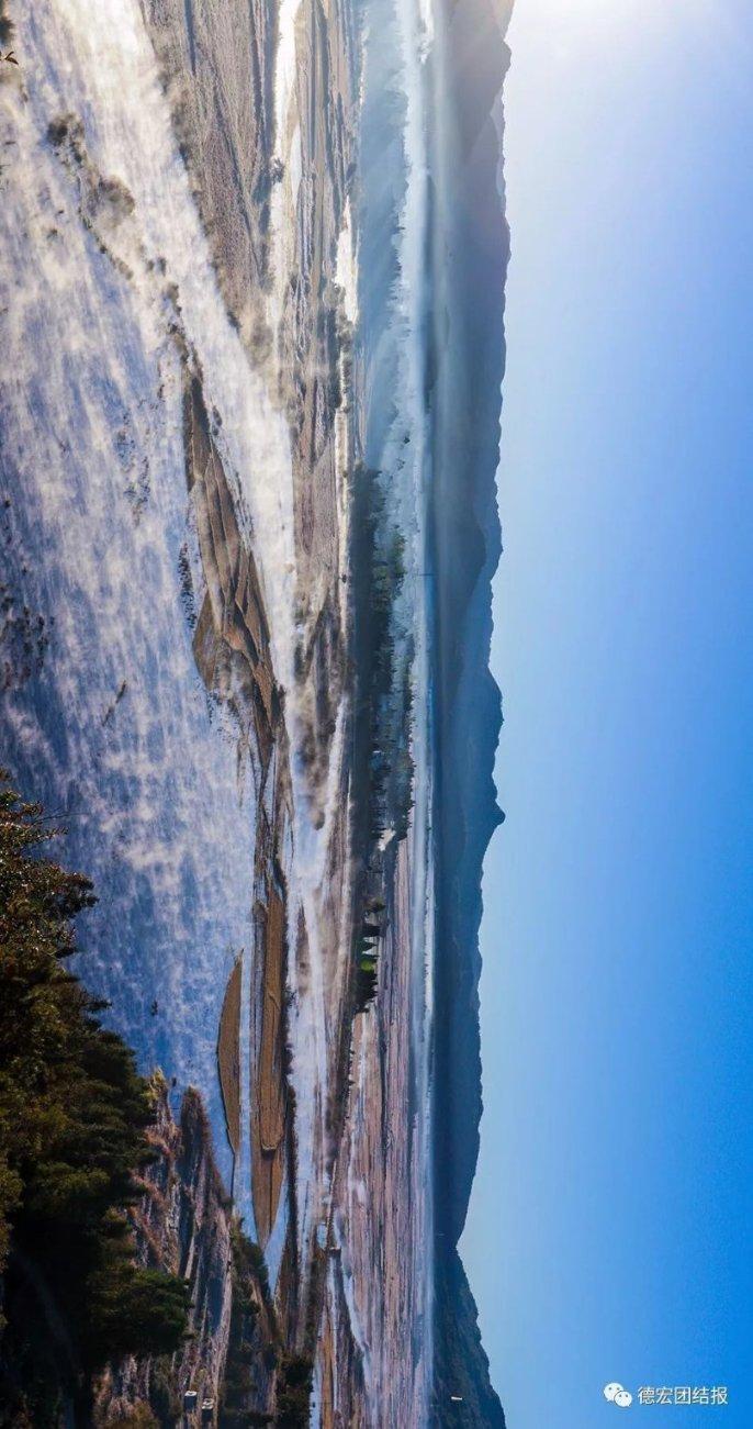 春雨直播app